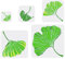 FINGERINSPIRE 5 Stück Ginkgo Biloba Malschablone 9,9/5,9/7,87/9,8/30 cm wiederverwendbare Blattmuster Zeichenschablone Kunststoff Quadratisch Aushöhlung Schablone DIY Handwerk für Wand Holz Möbel
