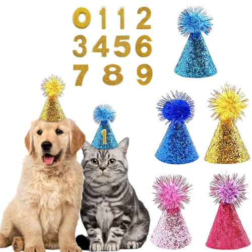 Hunde-Geburtstagshut, 5 Stück, Party-Hüte für Katzen und Hunde mit goldenen Zahlen, Mini-Hut für kleine Hunde, Geburtstagsparty-Zubehör für Urlaub, Hochzeit, Welpen, Kätzchen, Kostümzubehör (bunter