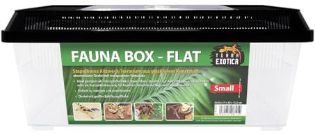 Terra Exotica Fauna Box Flat Transportbox für Reptilien, Amphibien, Insekten, Mäuse - Zuchtbox für Heimchen und Grillen - Faunarium (Small - 37x22x15,2 cm)