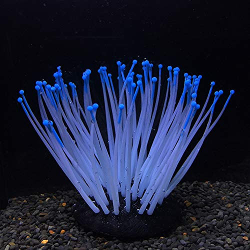 Xiangze Wasserpflanzen Aquarium künstliche Aquarium Anemone Silikon Pflanzen Aquariumpflanze Fisch Tank Dekoration 1Pcs