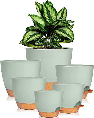 iDattel Kunststoff Blumentopf mit Untersetzer 20.3/17.7/16.5/15.2/14/12.5cm,6er-Set Selbstbewässerung Übertopf Kräutertopf Küche Set, Rund Pflanzkübel für Balkon Sukkulenten Kaktus,Grün