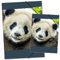 itenga Set Zeichenmappe DIN A3 und Sammelmappe DIN A4 mit Motiv - Gummizugmappe Sammelmappe - für Kinder Jugendliche Schüler Mädchen Jungen (Set A3 und A4 Motiv Panda)