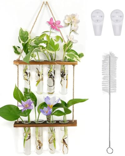 Hängende Vermehrungsstation Für Pflanzen, 2 Stufen Wand Pflanzgefäß Glas Reagenzglasvasen Für Blumen Mit Holzregal und 8 Reagenzgläser Für Innendekoration Hydrokulturpflanzen Hausgarten
