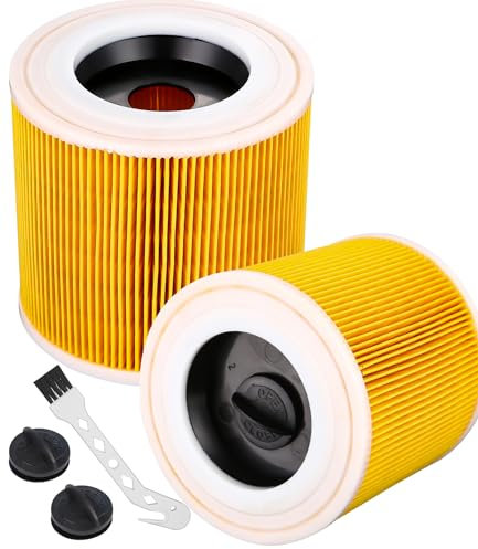 Fiabgum Filtre à Cartouche, 2 PCS Filtre Aspirateur pour Karcher, Pour Kärcher WD3 Premium, WD2, WD3, WD3P, MV2, MV3 - Filtre WD3 - Filtre De Rechange Pour Aspirateur Kärcher 6.414-552.0/64145520.