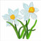 XMZZMX Narzissen-Blumen-Metall-Stanzformen für Kartenherstellung, Papierprägestanz-Set, Vorlagen, Aufbewahrungstaschen, Zubehör, Fotorahmen, Album, DIY, Scrapbooking, Schablonen-Sets