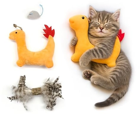 ZAYLUMO 3er Set Katzenspielzeug für Wohnungskatzen - Mit Silvervine & Katzenminze, Feder, Plüsch-Drache und Maus, zum Jagen, Greifen und Tragen, Natürliches Beschäftigungsspielzeug