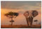 REINDERS Poster, Afrikas Wildtiere, Schlafzimmer, Poster, Wanddeko, Room Decor, 150 gr. glänzend Bilderdruckpapier, Braun, 61x91,5cm
