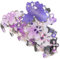 Pince à Griffes Cheveux SAKURA pour Femmes Filles Fleur Pince à Cheveux Barrette Banane Crabe Esthétique Pince à Cheveux en Vrac Accessoires de Cheveux (182 SAKURA Moyen/Violet)