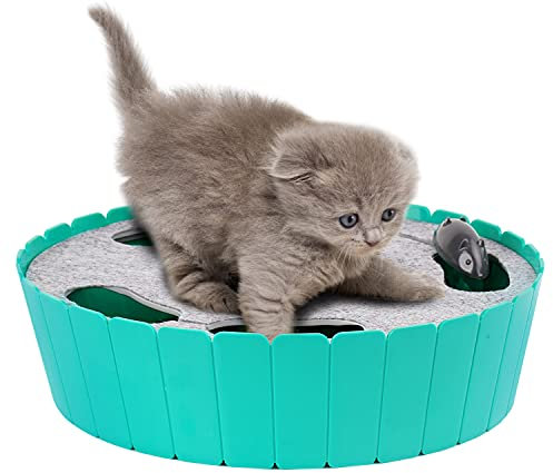 Pawaboo Jouet Souris pour Chat Électrique, Jeu Interactif Automatique, Vitesse Optionnelle, Solide et Durable pour Chaton - Bleu