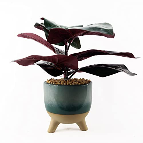 Leaf Design UK - Pianta artificiale realistica con vaso, pianta di ficus, 35 cm