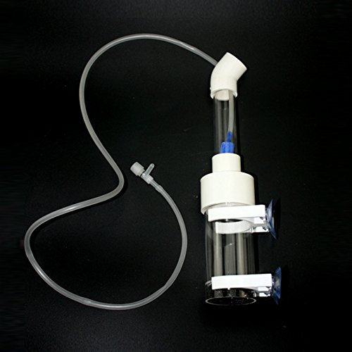 Aquarium Cichliden Tumbler Fisch Brutkasten Eier Mund brüten 50mm