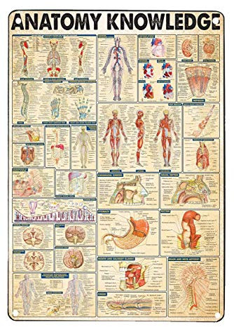 IUBBKI Blechschilder Vintage Kitchen Anatomy of a Tattoo Machine Mens Garage Signs