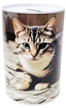 Spardose aus Metall, nicht zu öffnen, mit Katzenmotiv, 13 x 8 cm