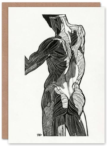 Artery8 Reijer Stolk Art Card Anatomical Study Of Gluteal Muscles