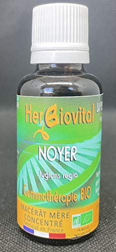 Herbiovital - Noyer Bio - Le Macérât du bien-être intestinal - Gemmothérapie Concentrée - 30 ml - Restaure et régule la flore intestinale, notamment après la prise d'antibiotiques - Fabriqué en France