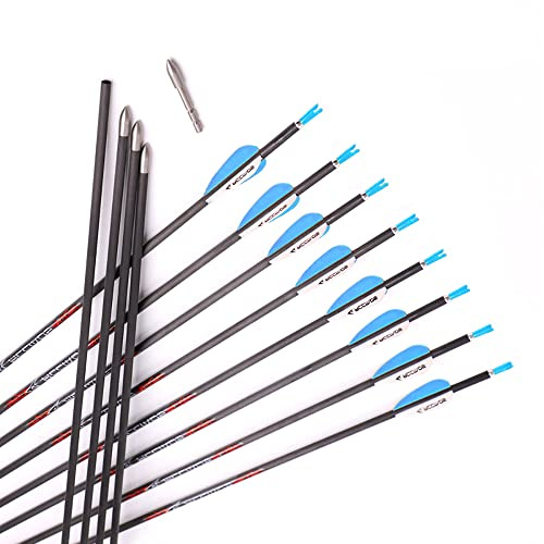 ACCMOS Bogensport Reinem Carbon Pfeil Spine 300/350/400/500/600/700/800/900/1000/1100 ID 4,2 mm Jagdpfeil, für Recurve Bogen Compoundbögen Traditioneller Bogen 12 St