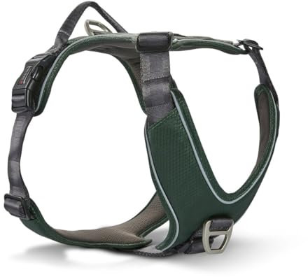 Wolters Geschirr Active Pro Comfort, Größe:60-75 cm, Farbe:grün/anthrazit