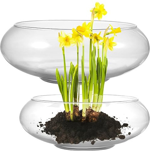 Didiseaon 2 Jarrones De Cristal Florero De Boca Ancha Terrario Redondo Macetero Suculento Macetero Hidropónico De Cristal Recipiente Floral Pecera Transparente para Boda Evento Mesa Central