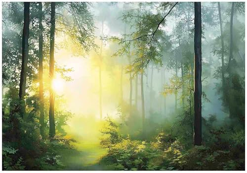 WallArena Vlies Fototapete, Wald, 250x175cm | Fototapeten - Tapeten - für Wohnzimmer Schlafzimmer - Vliestapete Wandtapete Tapete 3D Effekt- inkl. Kleister