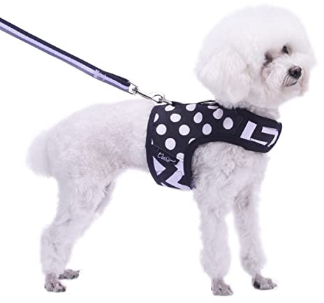 Teacup Dog Harness and Leash Set Small Pet Harness for Winter, Adjustable Soft Padded Dog Vest for Teacup Chihuahua, Poodle, Yorike, Maltese Under 3LB, Polka Black