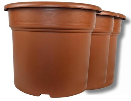 GROWMANIA Pack x3 Maceta Marrón 5L para Plantas | Macetero Decorativo Pequeño para Interior y Exterior | Tiesto para Cultivos