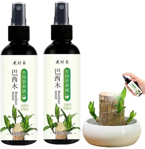 Brazilian Wood Plant Food, 100ml*2 Lucky Ba-mboo Liquid Fertilizer, Hydroponic Brazilian Wood Nutrient Solution, Special Nutrient Brazil Lucky Wood Hydroponic Plant Food