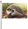 Igel-Flagge, 90 x 152 cm, lustige Banner, Gartenflagge, doppelseitiger Druck, Willkommensbanner für Zuhause, Garten, Hof, Rasen, Innen- und Außenbereich, Dekoration