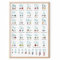 MeinBaby123® DIN A2 ABC Lernposter Grundschrift für Kinder (GS) | Buchstaben und Laute von A bis Z | geeignet für Kindergarten, Vorschule, Grundschule (Lernposter blau/weiß A2)