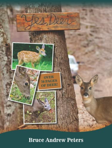 Yes, Deer