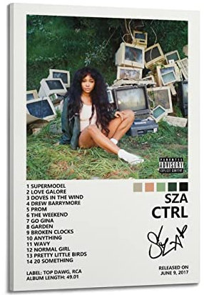 SUANYE Sza Poster Ctrl Album Cover Poster für Schlafzimmer Ästhetische dekorative Malerei Leinwand Wandkunst 20 x 30 cm