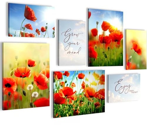 Novart Wandbilder Blumenwiese Mohnblumen - KOMPLETT AUFHÄNGFERTIG - Bunt Wohnzimmer Schlafzimmer Flur - 7 Moderne Mood-Bilder - N034671a