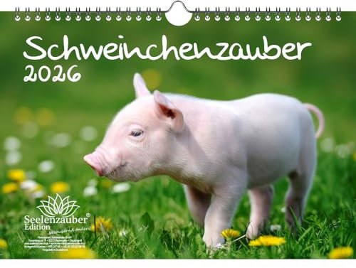 Schweinchenzauber DIN A4 Kalender für 2026 Schweine Schweinchen - Seelenzauber