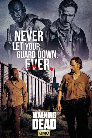GB eye 61 x 91.5 cm The Walking Dead, Rick and Morgan Maxi Poster by GB Eye Limited