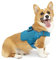 Kurgo Townie RSG – Hundegeschirr, Trainingsweste für Hunde, mit Griff, reflektierend, kompatibel mit MOLLE – Blau, XL