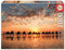 Educa - Puzzle 1000 Teile für Erwachsene | Kamele im Sonnenuntergang, 1000 Teile Puzzle für Erwachsene und Kinder ab 14 Jahren, Landschaft, Wüste, Strand (18492)