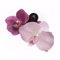 Flower Hair Clips Hair Claw Clips Silk Purple Moth Orchid Flower Clips Hawaiian Flower Claw Clips Headpiece Hair Accessories for Thick Hair Women Teen Girls