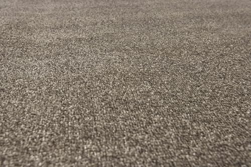 Underfoot Durable Twist Pile Carpet | Action-Backed Carpet | Bleach-Cleanable & Stain-Resistant | Elegant Carpets Colours (Pewter, 4m x 5m)