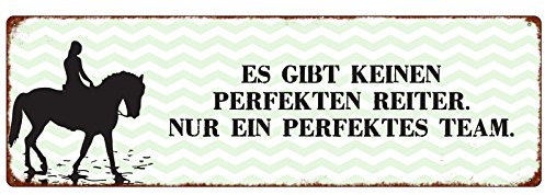 Interluxe METALLSCHILD Türschild ES GIBT KEINEN PERFEKTEN Reiter Reiten Pferd Hobby