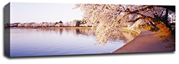 Tidal Basin - Flowers - 48x16 Gallery Wrapped Canvas Wall Art