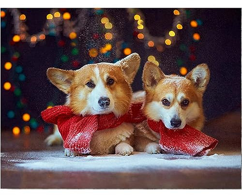 5D Diamant Painting Bilder Groß, Welsh Corgi-Hundepaar DIY Diamond Painting Set Strass Stickerei Diamant Malerei Kunsthandwerk Voller Diamant Kreuzstich Mosaik Gemälde Wall Dekor (Round drill)70x90cm