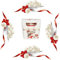 Ferrero Raffaello Pralines, cadeau de chocolat blanc, cadeaux de mariage, cadeaux pour femmes et hommes, cadeaux pour enseignants, boîte à chocolat de fête, noix de coco, amande entière croquante et