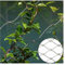 DTVEW 304 Edelstahl-Seilnetz, Flexibles Seil-Geländer-Netz, 1,5mm/2mm Pflanzen-Gartenarbeitsmasche, für Football Field Garden(12cm/1.5mm,1.5x2m)