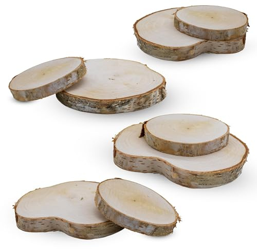 Echtholz Birken Astscheibe 7-12 cm natur - 8er Pack - Birkenholz Baumscheibe zum Basteln und Dekorieren - Holzscheibe Birkenscheibe Naturholz Scheibe Hölzerne Hochzeit Tischschild Holz Deko