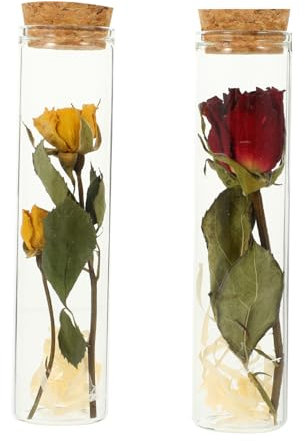 RORPOIR 2 Piezas Botella De Deseos De Cristal De Flores Secas Viales De Vidrio Mensaje En Una Botella Pequeños Contenedores Botella De Los Deseos Vaso De Flores Secas Colocar Pequeña