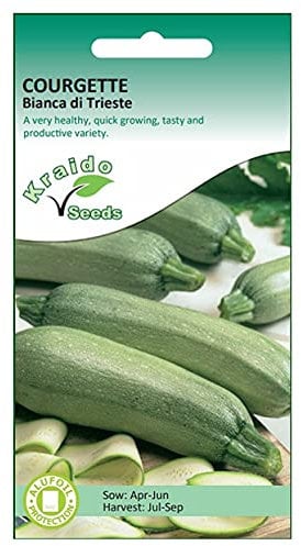 Italian Courgette Zucchini Seeds Bianca di Trieste Ivory Green Heirloom Cucurbita Pepo 20 Seeds Grow Your Own Vegetable Perfect for Greenhouse or Outdoor Growing
