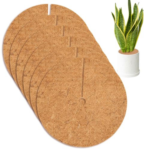 6 alfombrillas de coco para protección invernal de plantas, 6 discos de 20 cm, fibra de coco, protección invernal sostenible, protección contra heladas.