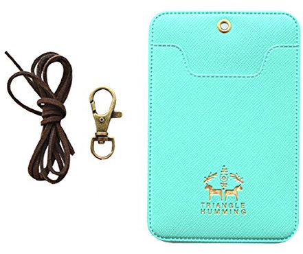 NOVAGO Porte Badge, Porte Carte ou Porte Titre de Transport (Vert, x1)