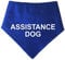 Spoilt Rotten Pets S3 Assorted Colours 'Assistance Dog' Alert Help Dog Carer Message Dog Scarf Bandana (S3 Medium Dogs, Labs, Staffies & Springers)