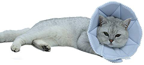WZ PET Collar de recuperación Suave para Gatos, Cono Ajustable para Perro y Gato, Collar de Cono Protector para Perros después de la cirugía, para Gatos y Cachorros, pequeño, Azul