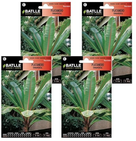 Semillas de platanero palmera de Semillas Batlle PACK (4)